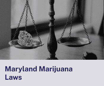 Maryland Marijuana Laws.png